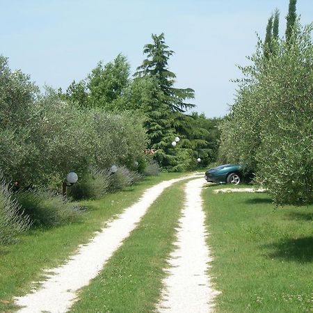 Vista Assisi Bed & Breakfast Exterior foto