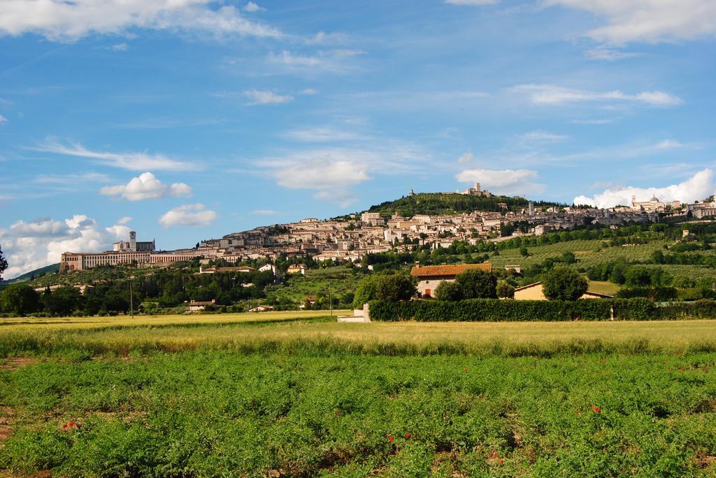 Vista Assisi Bed & Breakfast Exterior foto