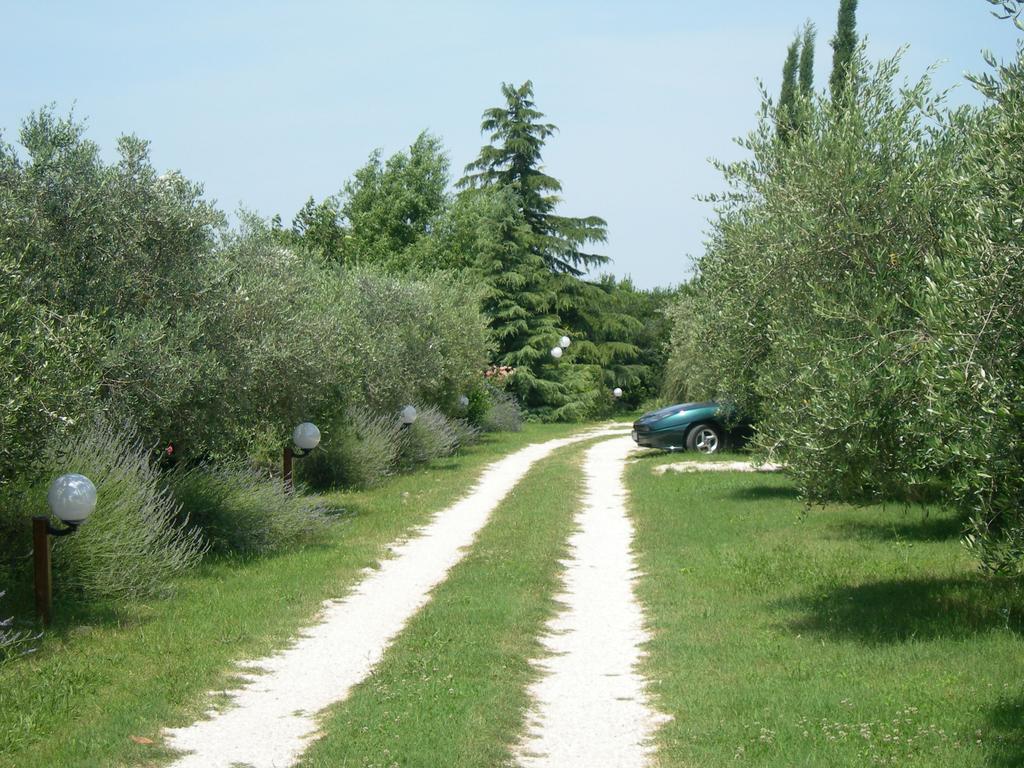Vista Assisi Bed & Breakfast Exterior foto