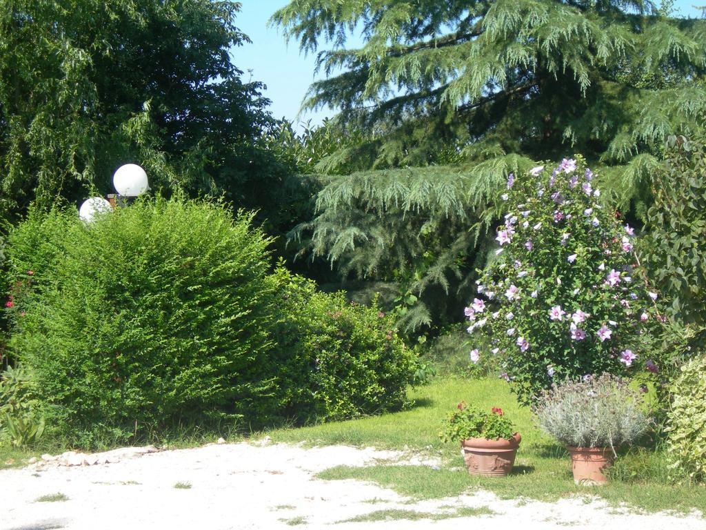Vista Assisi Bed & Breakfast Exterior foto