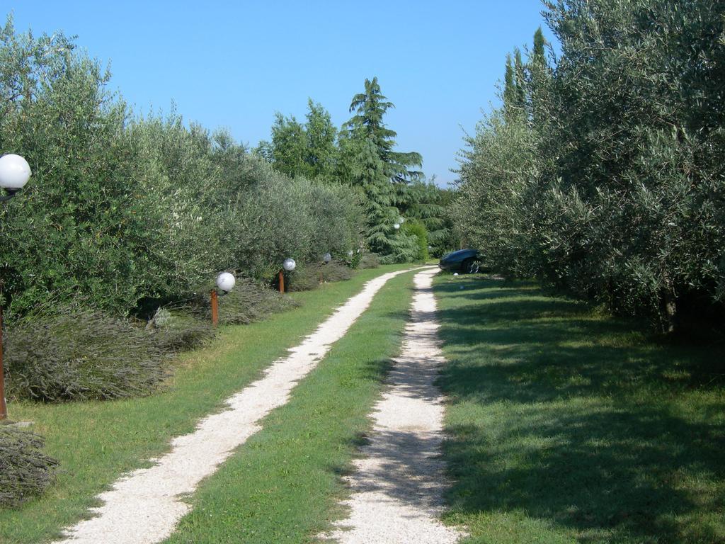 Vista Assisi Bed & Breakfast Exterior foto